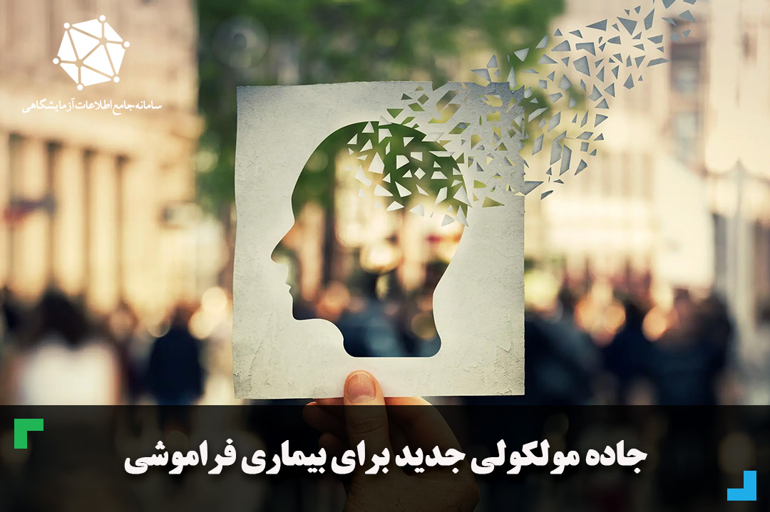 جاده مولکولی جدید برای بیماری فراموشی