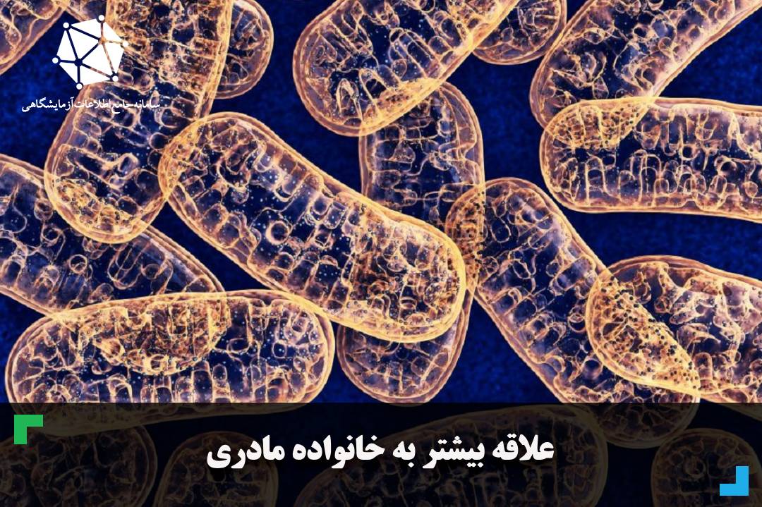 علاقه بیشتر  به خانواده مادری