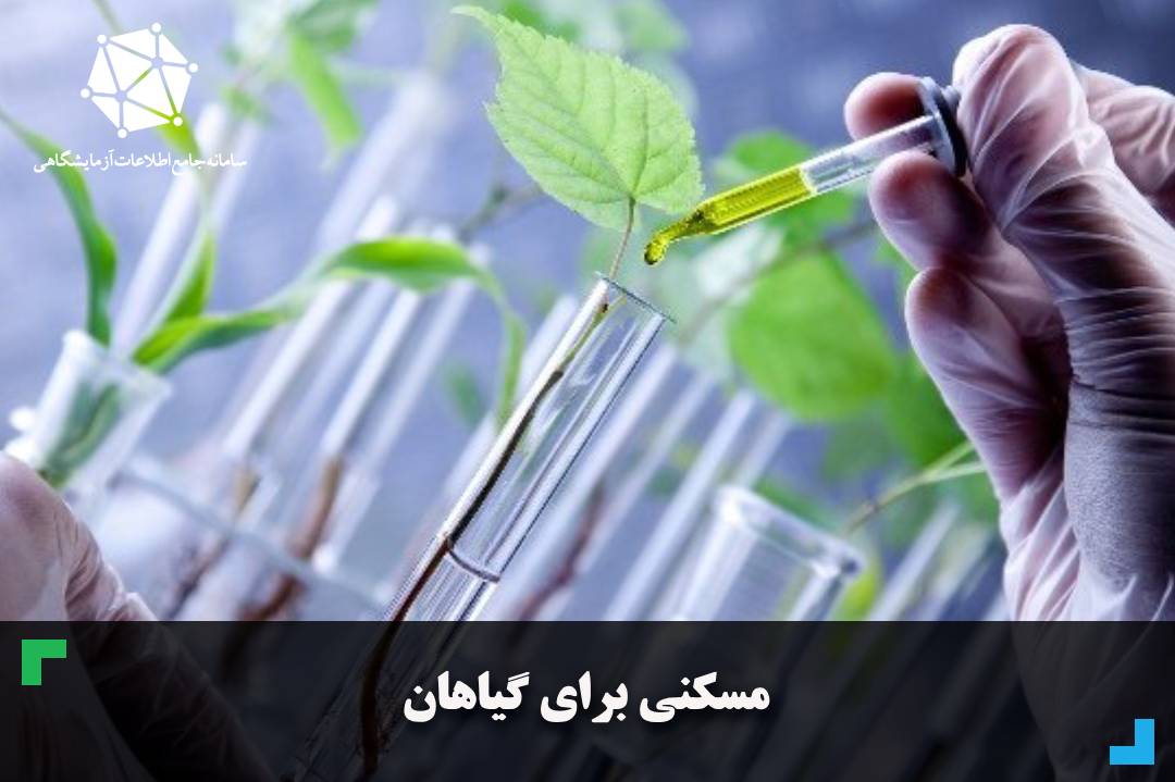 مسکنی برای گیاهان