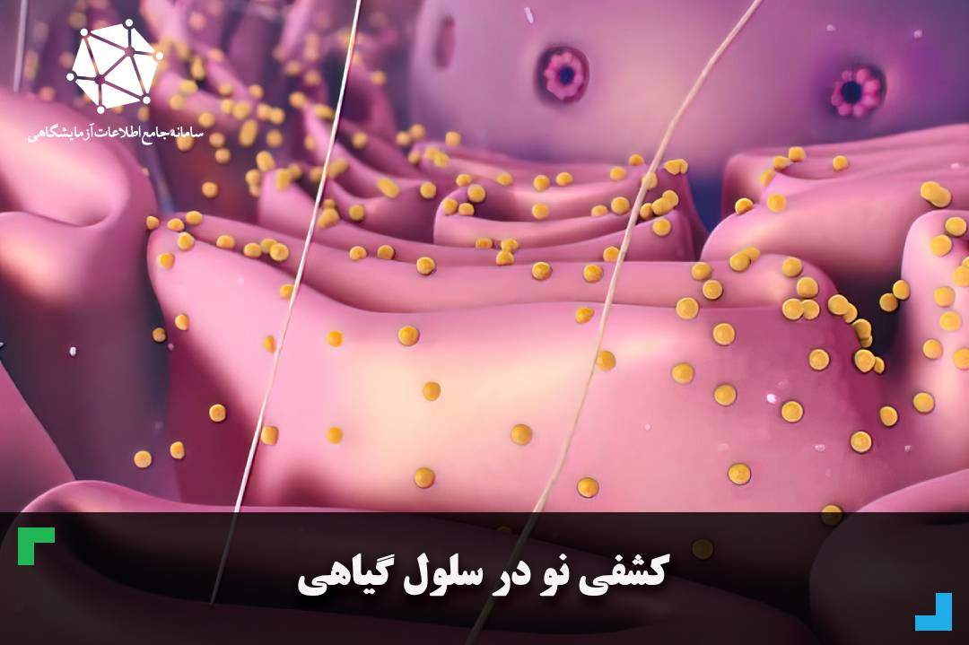 کشفی نو در سلول گیاهی