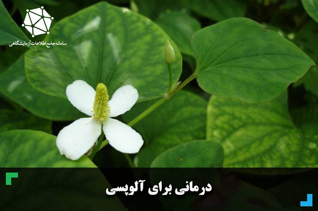 درمانی برای آلوپسی