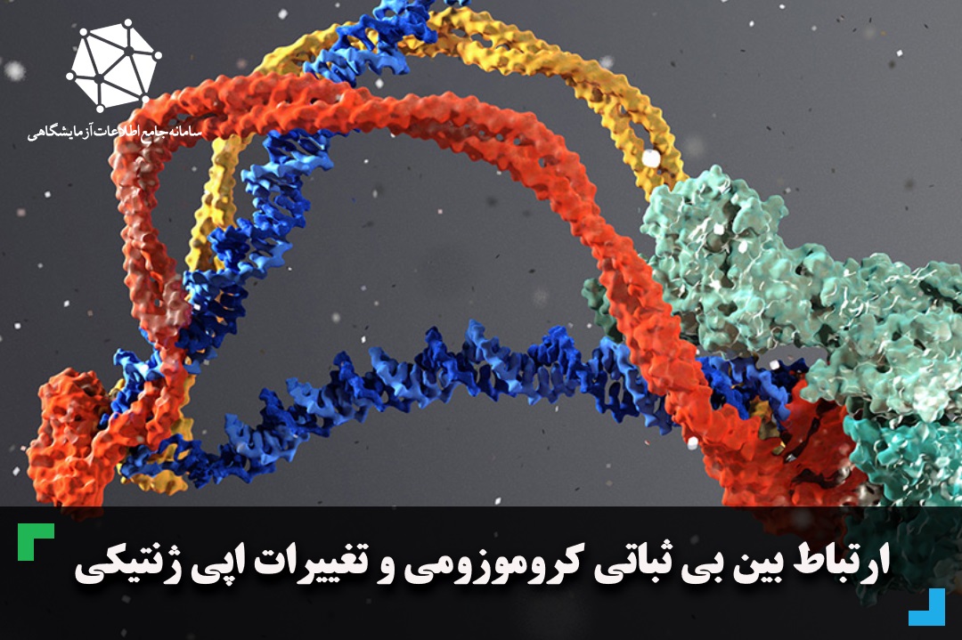 ارتباط بین بی ثباتی کروموزومی و تغییرات اپی ژنتیکی