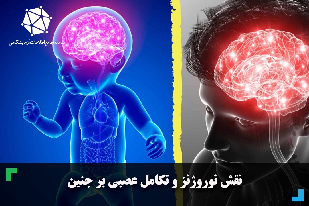 نقش نوروژنز و تکامل عصبی بر جنین