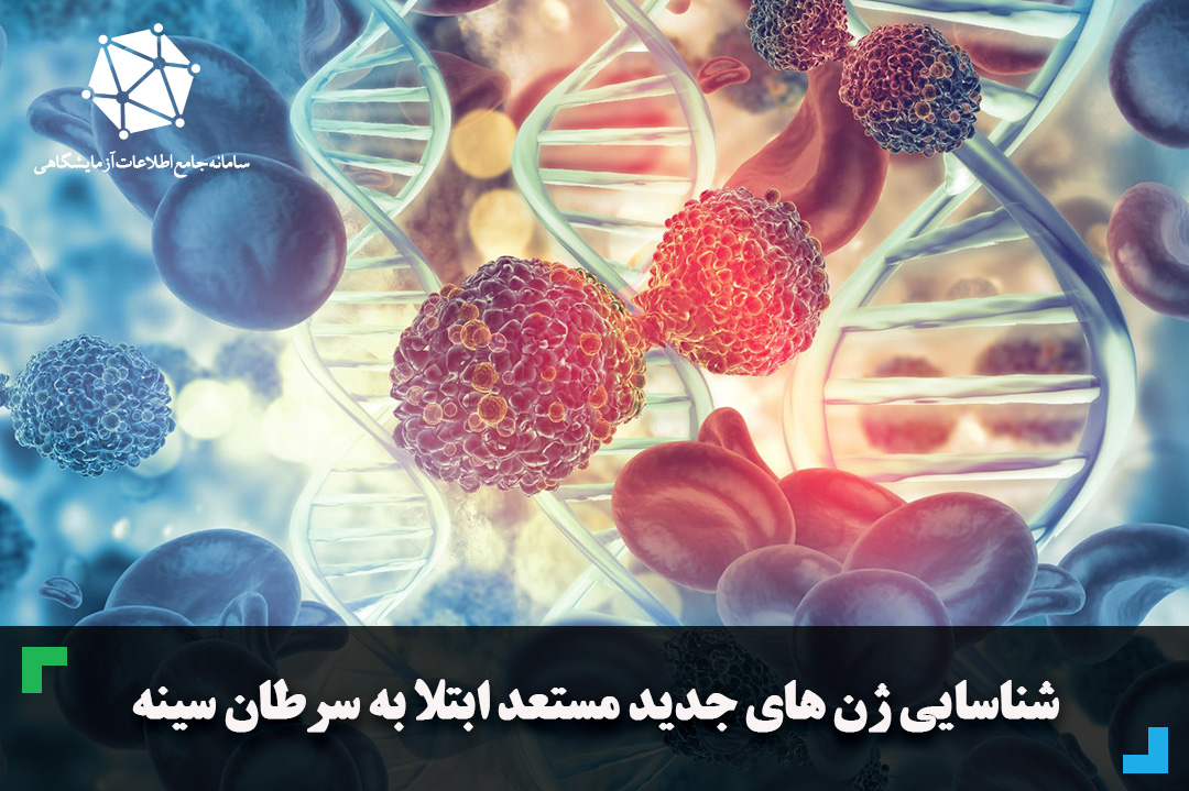 شناسایی ژن های جدید مستعد ابتلا به سرطان سینه