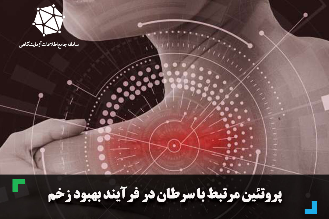 پروتئین مرتبط با سرطان در فرآیند بهبود زخم