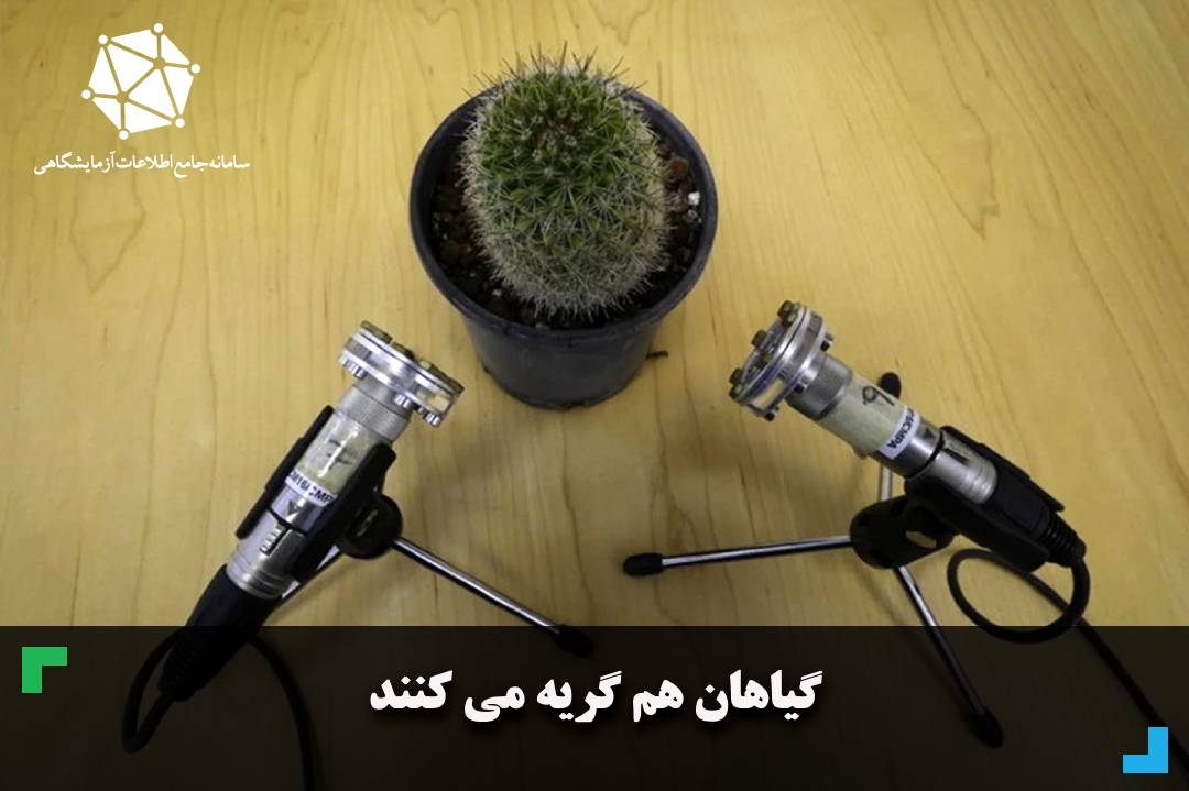 گیاهان هم گریه می کنند