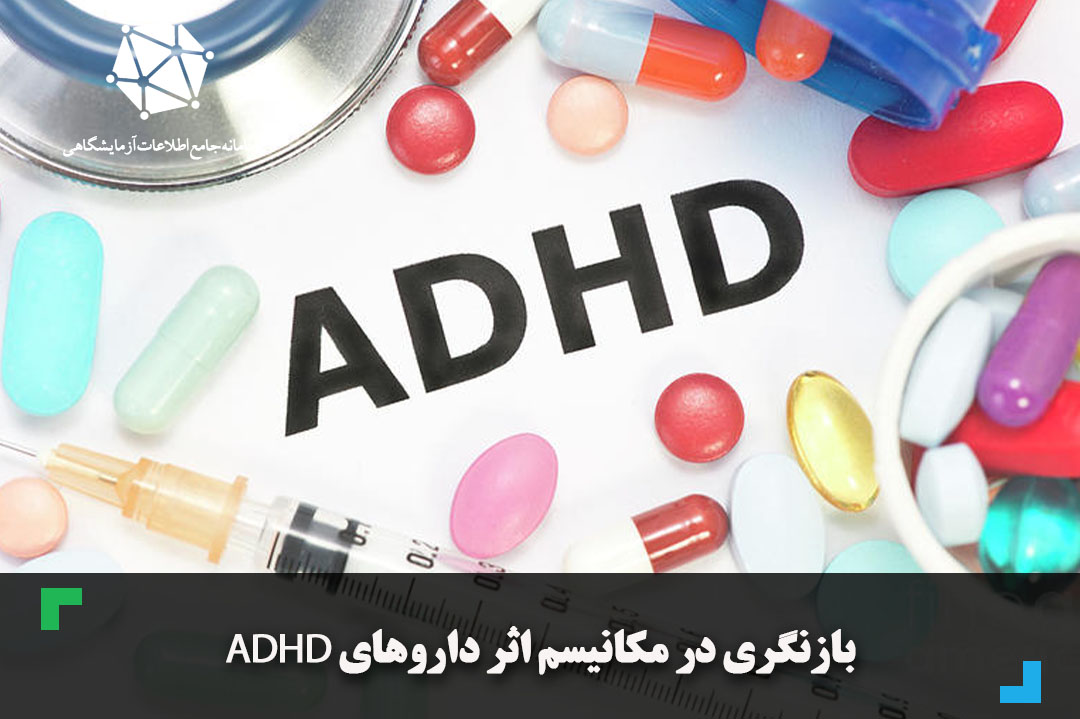 بازنگری در مکانیسم اثر داروهای ADHD