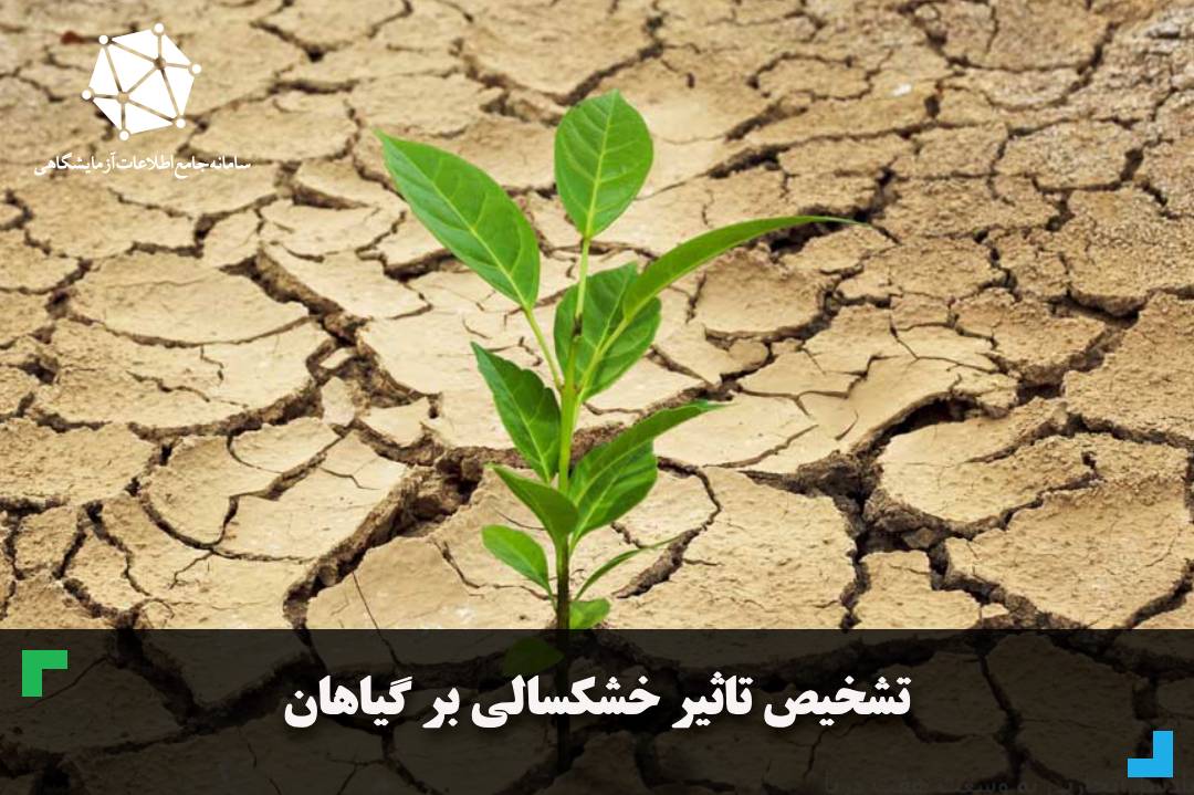 تشخیص تاثیر خشکسالی بر گیاهان