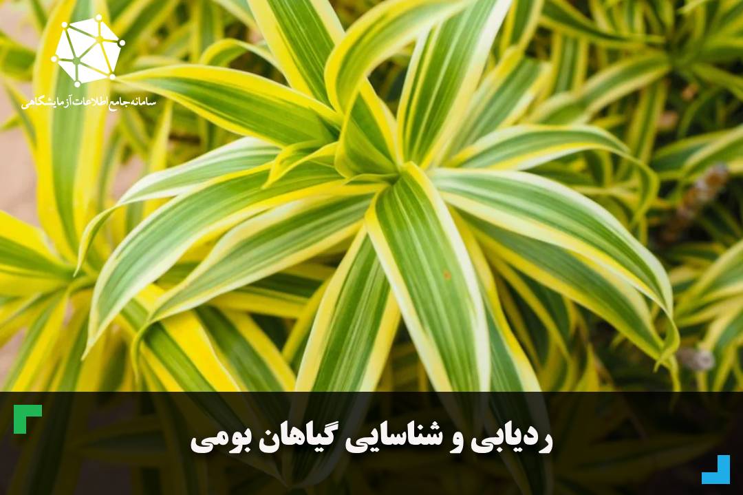 ردیابی و شناسایی گیاهان بومی