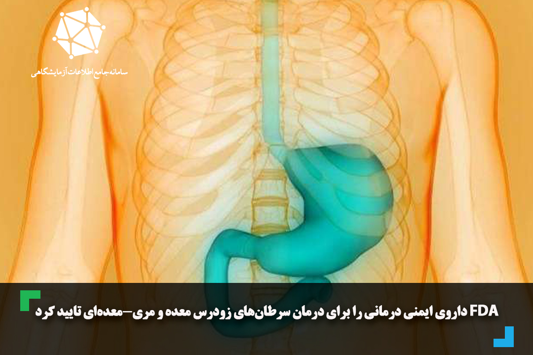 FDA داروی ایمنی درمانی را برای درمان سرطان‌های زودرس معده و مری-معده‌ای تایید کرد
