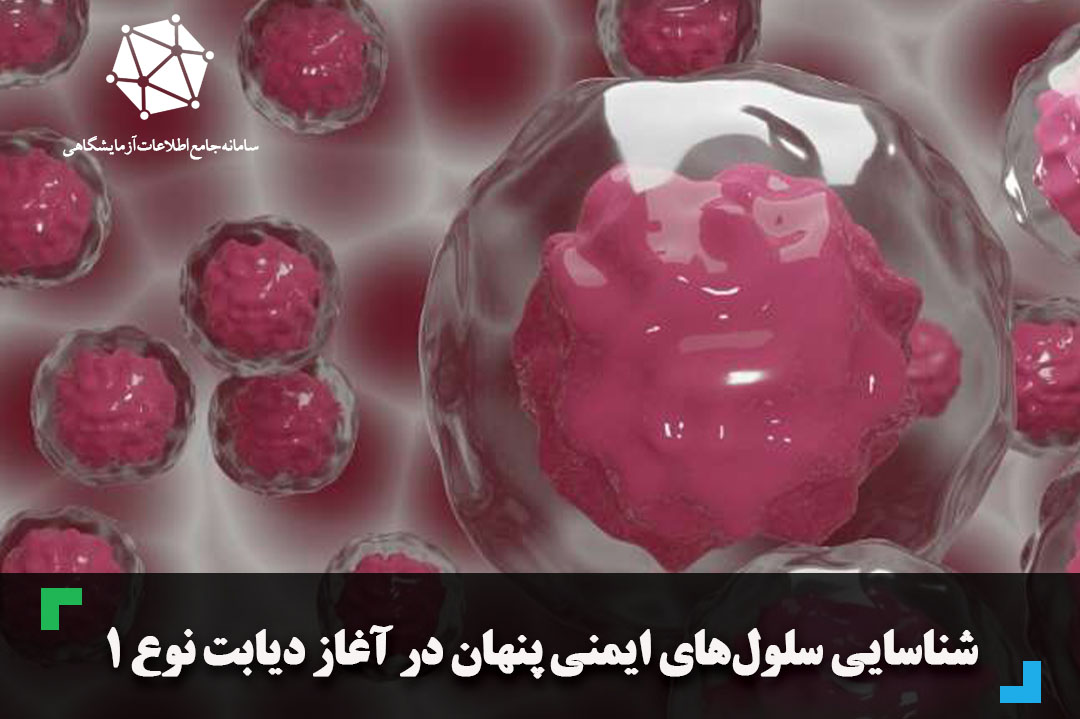 شناسایی سلول‌های ایمنی پنهان در آغاز دیابت نوع ۱