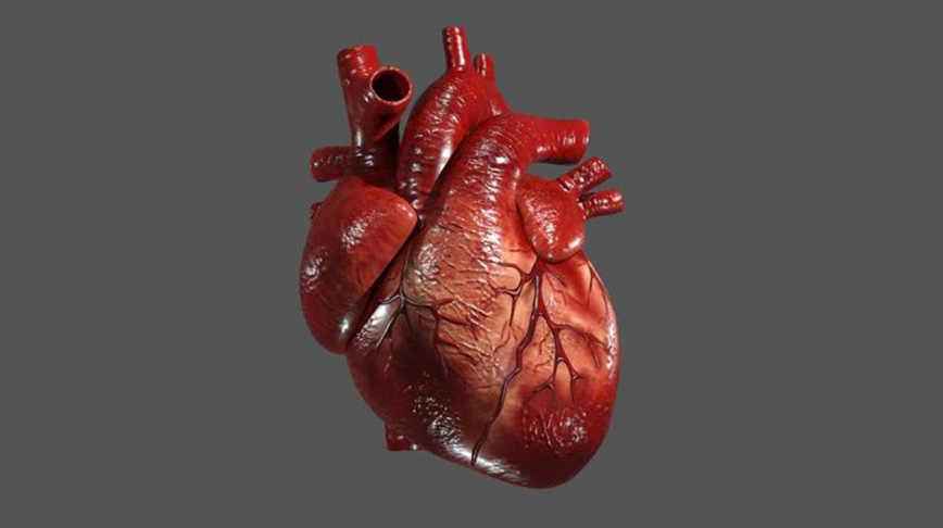 تست های تشخیصی بیماران قلبی