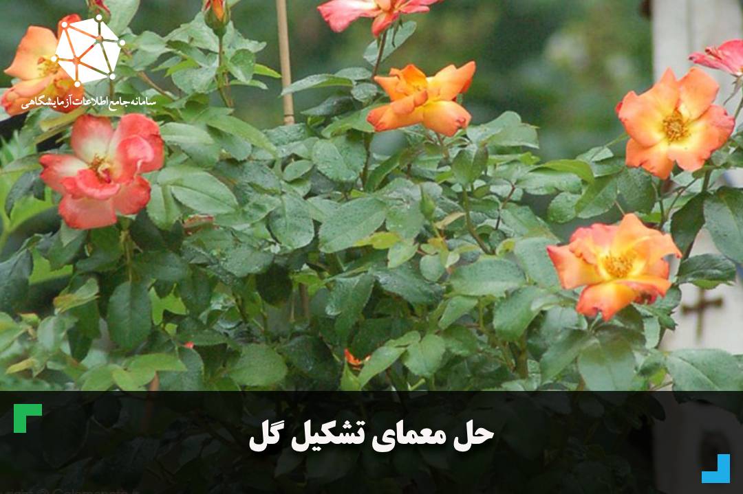 حل معمای تشکیل گل