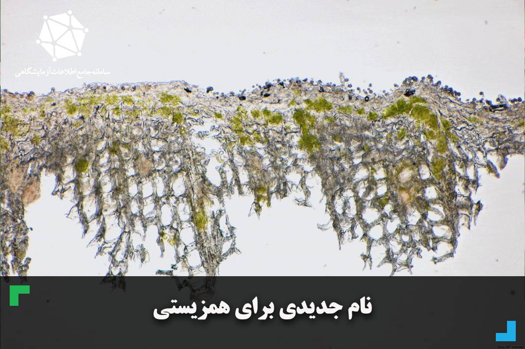 نام جدیدی برای همزیستی