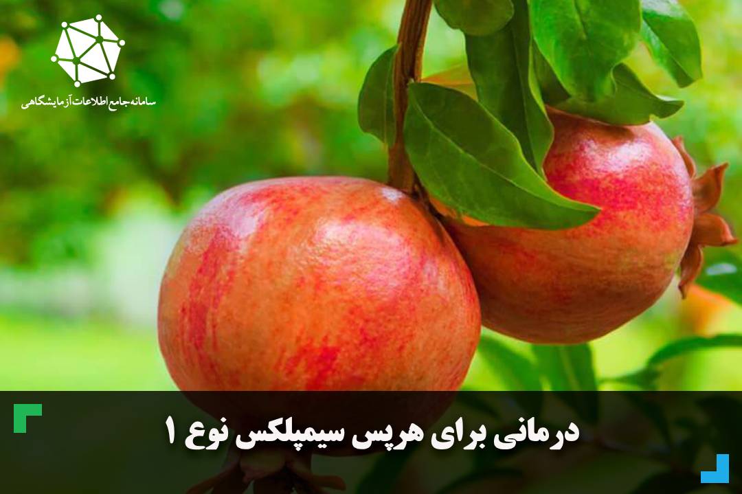 درمانی  برای هرپس سیمپلکس نوع 1