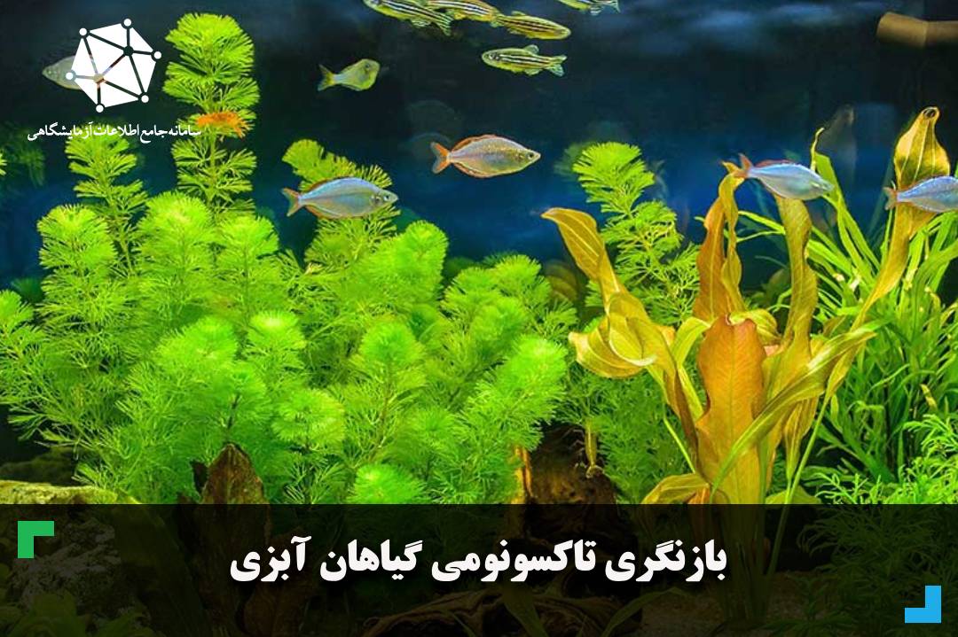 بازنگری تاکسونومی گیاهان آبزی