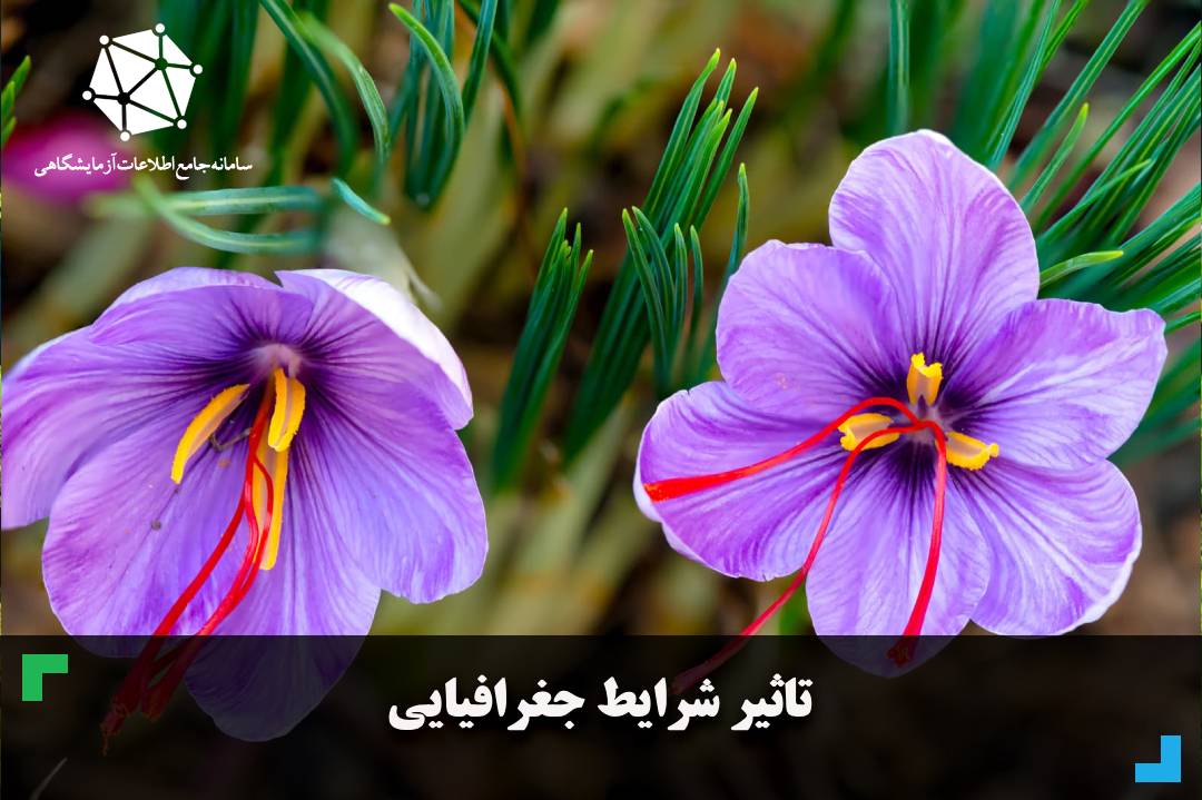 تاثیر شرایط جغرافیایی