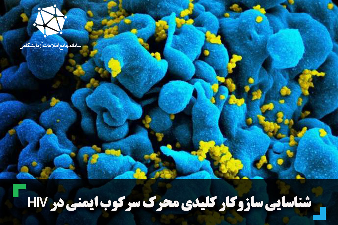 Depression Treatment