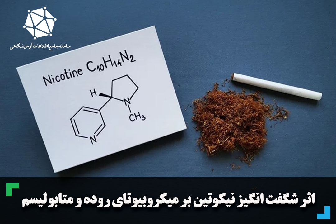 اثر شگفت انگیز نیکوتین بر میکروبیوتای روده و متابولیسم