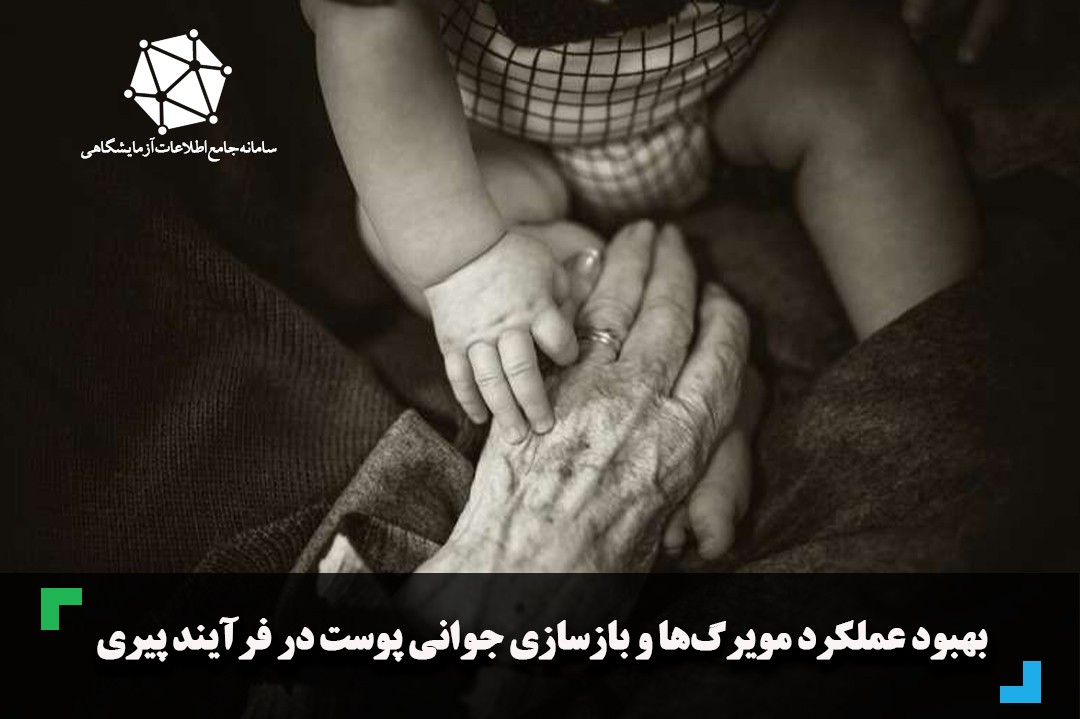 بهبود عملکرد مویرگ‌ها و بازسازی جوانی پوست در فرآیند پیری