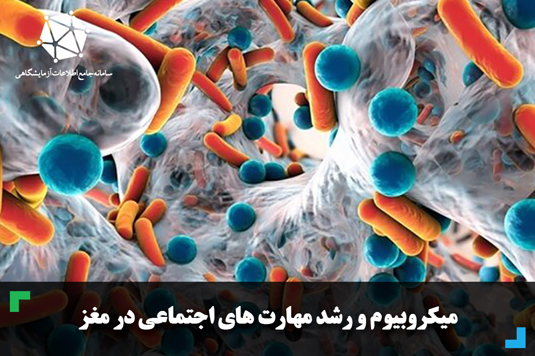 میکروبیوم و رشد مهارت های اجتماعی در مغز