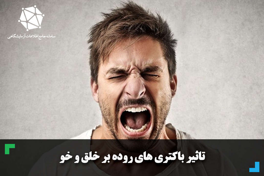 تاثیر باکتری ‌های روده بر خلق و خو