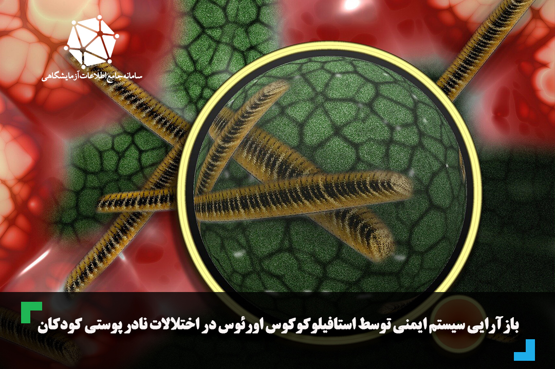 بازآرایی سیستم ایمنی توسط استافیلوکوکوس اورئوس در اختلالات نادر پوستی کودکان