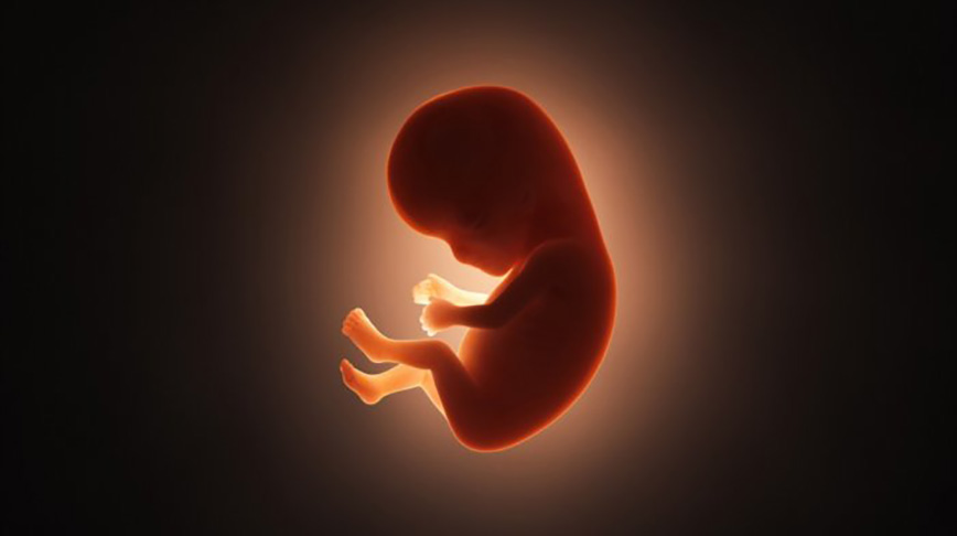 پیش ‌بینی سقط جنین با  تحلیل ژنوم