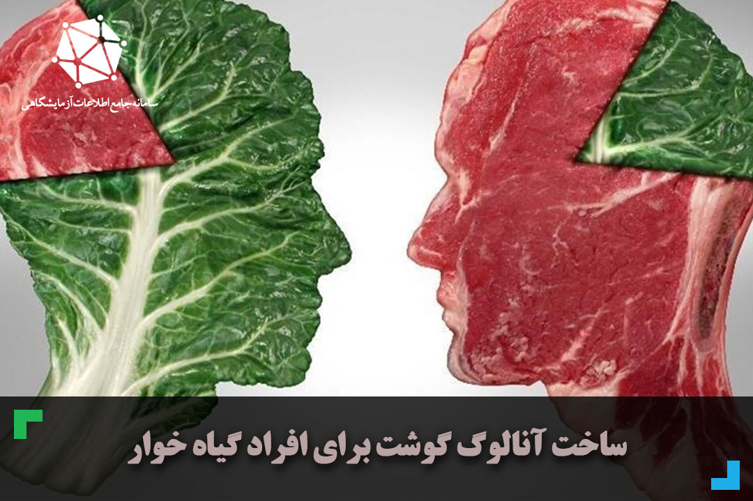 ساخت آنالوگ گوشت برای افراد گیاهخوار