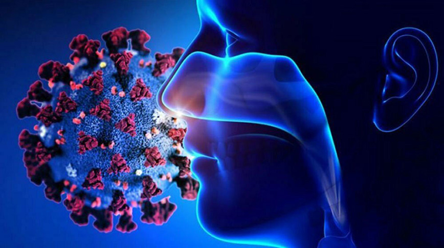 شناسایی مولکول عامل اختلال حس بویایی مرتبط با بیماری کووید-19