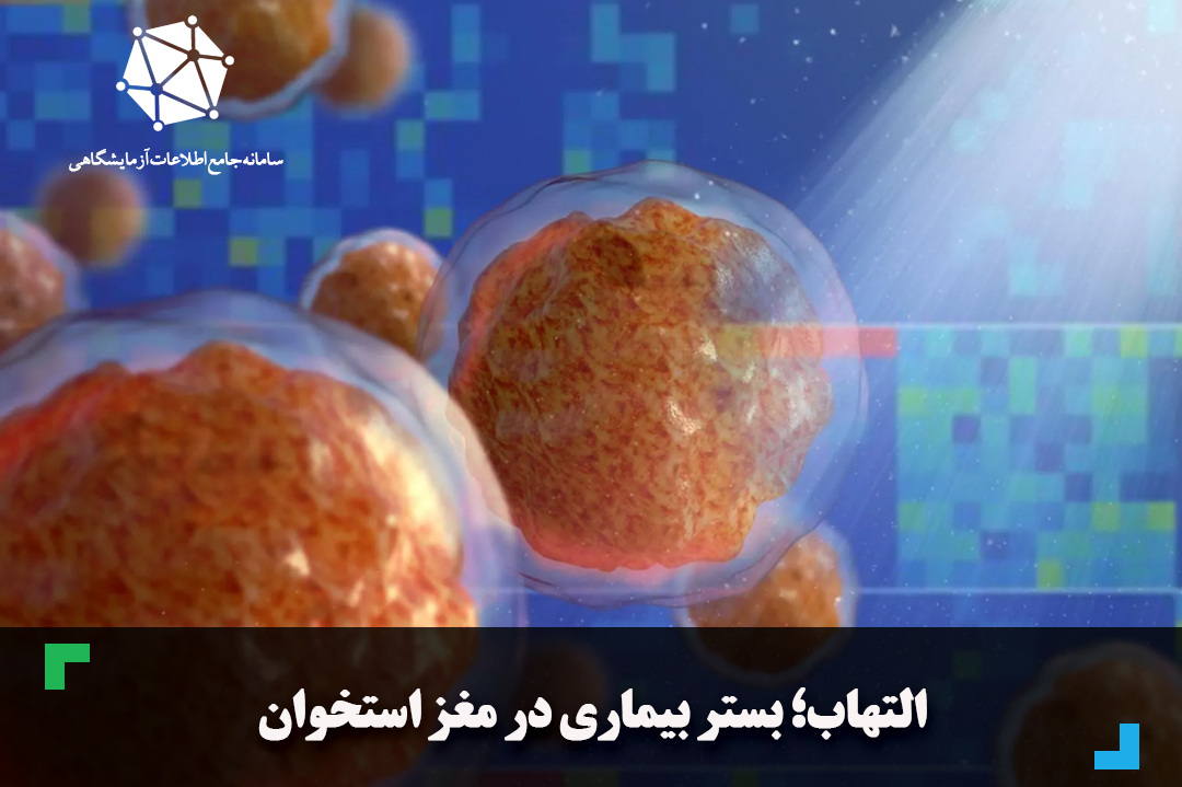 التهاب بستر بیماری در مغز استخوان