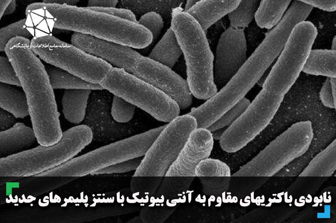 نابودی باکتری های مقاوم به آنتی بیوتیک با سنتز پلیمرهای جدید