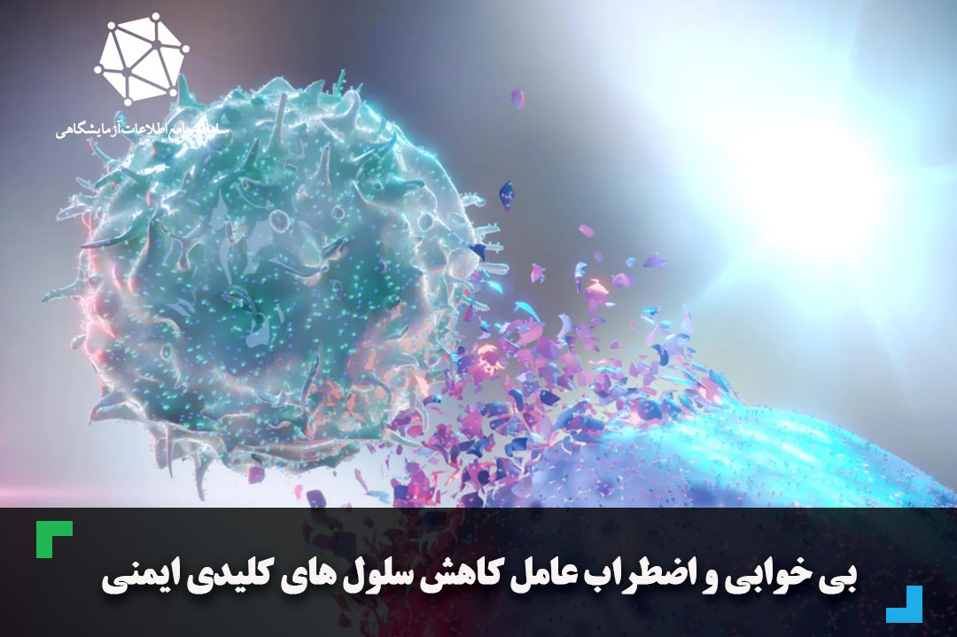 بی خوابی و اضطراب عامل کاهش سلول های کلیدی ایمنی