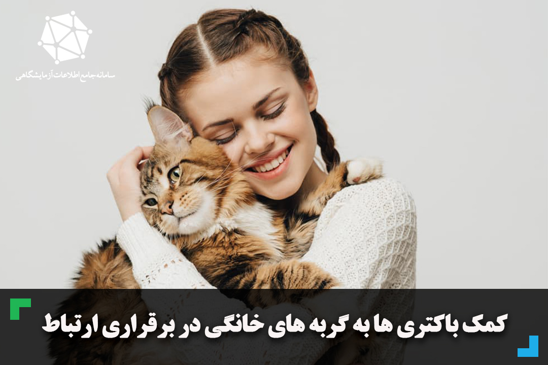 کمک باکتری ها به گربه های خانگی در برقراری ارتباط