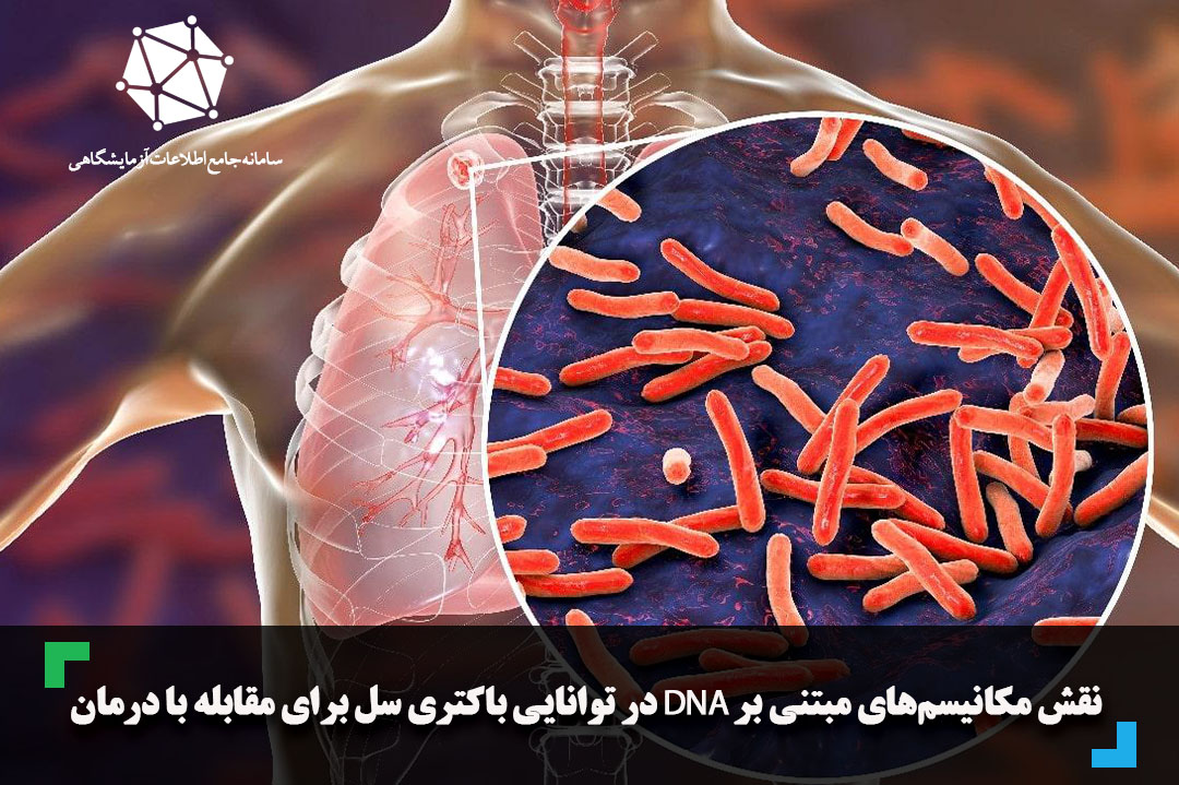 نقش مکانیسم‌های مبتنی بر DNA در توانایی باکتری سل برای مقابله با درمان