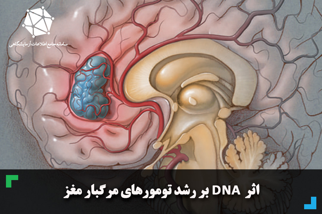 اثر  DNA بر رشد تومورهای مرگبار مغز