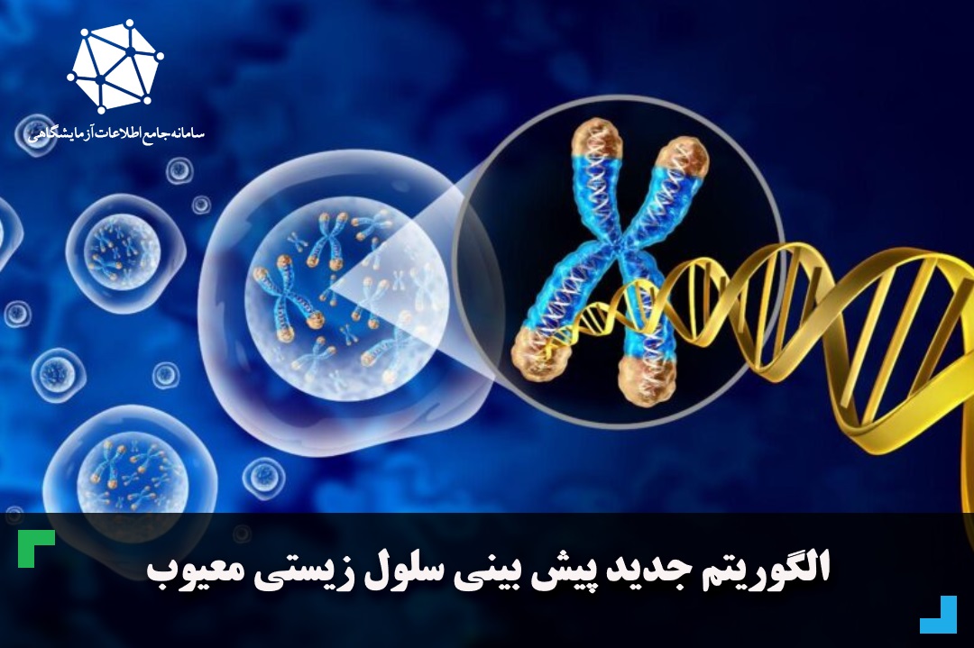 الگوریتم جدید پیش بینی RNA معیوب