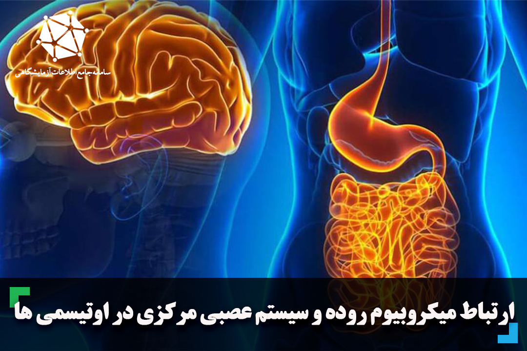 ارتباط میکروبیوم روده و سیستم عصبی مرکزی در اوتیسمی ها