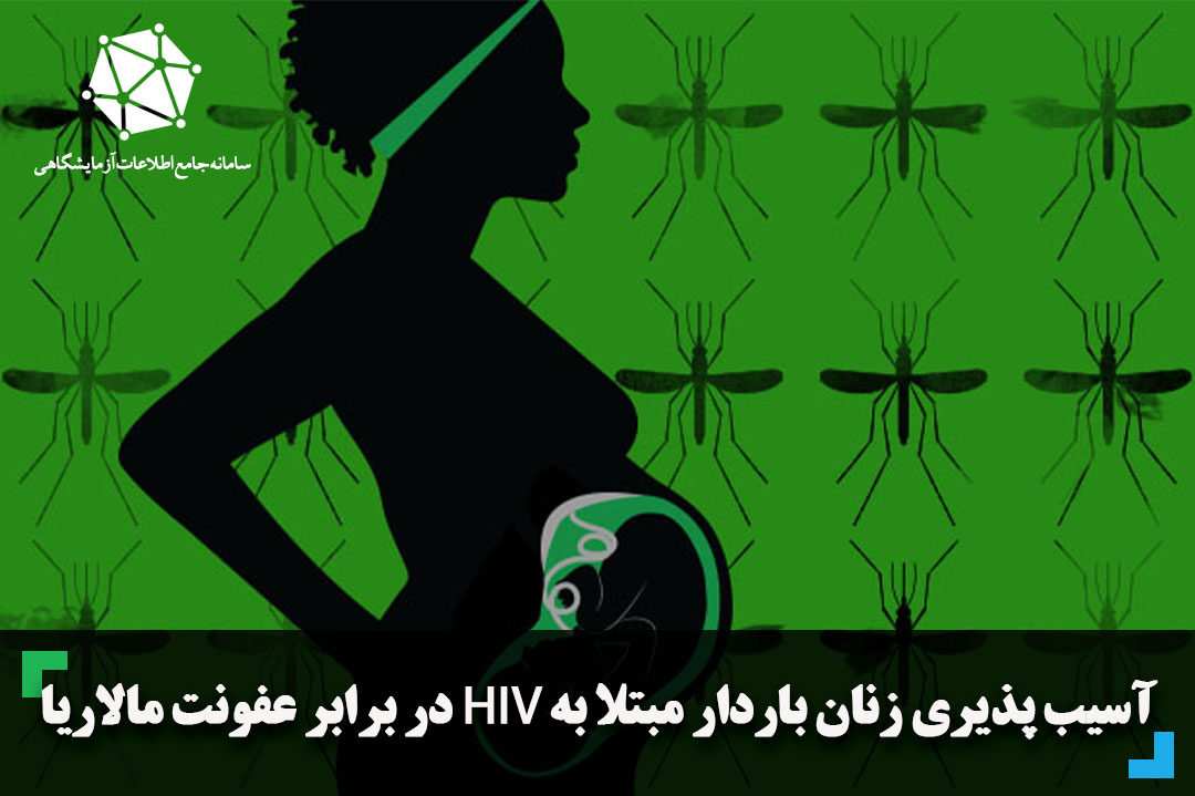 آسیب پذیری زنان باردار مبتلا به HIV در برابر عفونت مالاریا