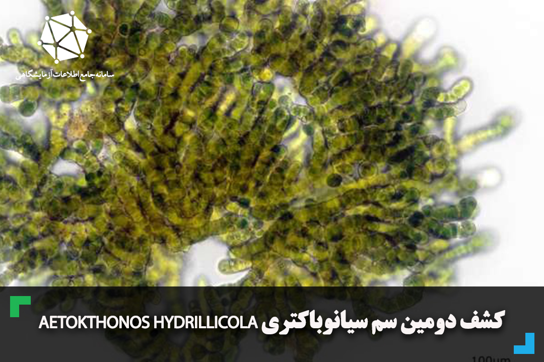 کشف دومین سم سیانوباکتری Aetokthonos hydrillicola