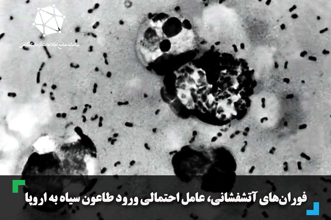 فوران‌های آتشفشانی، عامل احتمالی ورود طاعون سیاه به اروپا