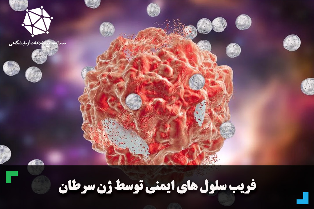 ژن سرطان، سلول های ایمنی را فریب می دهد