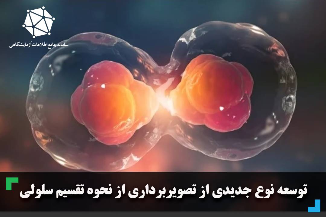 توسعه نوع جدیدی از تصویربرداری از نحوه تقسیم سلولی