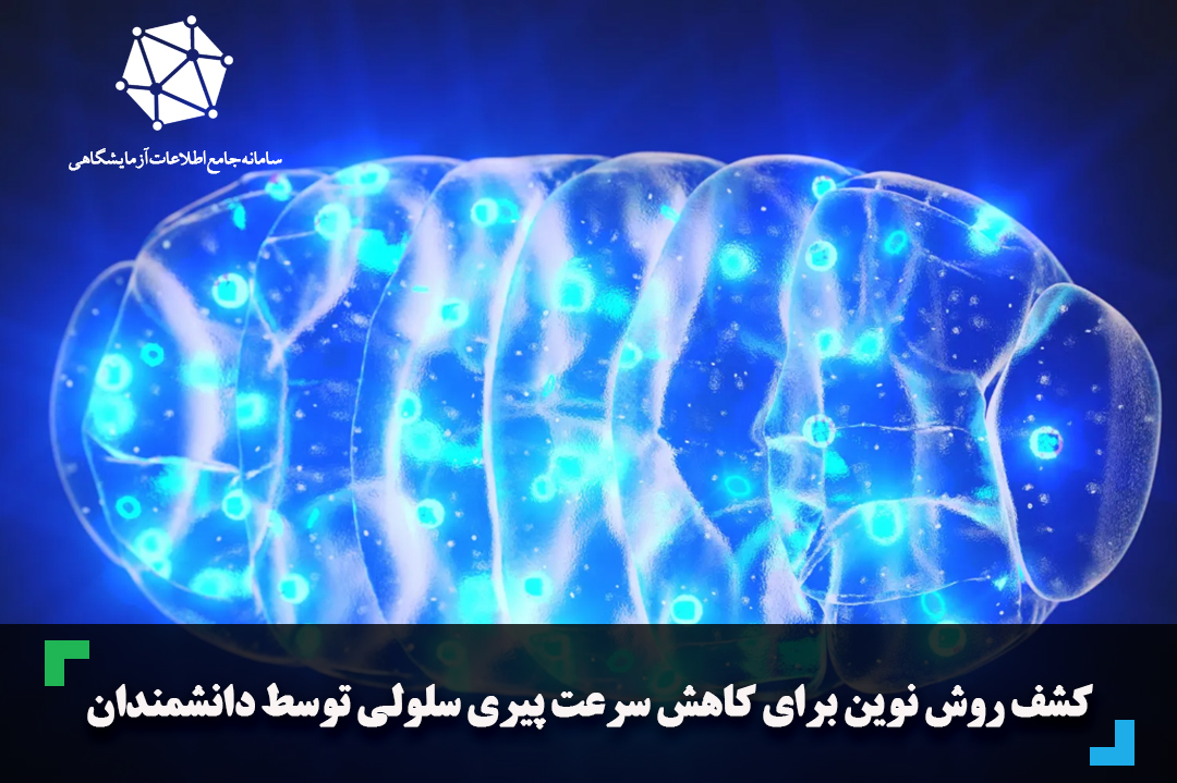 کشف روش نوین برای کاهش سرعت پیری سلولی توسط دانشمندان