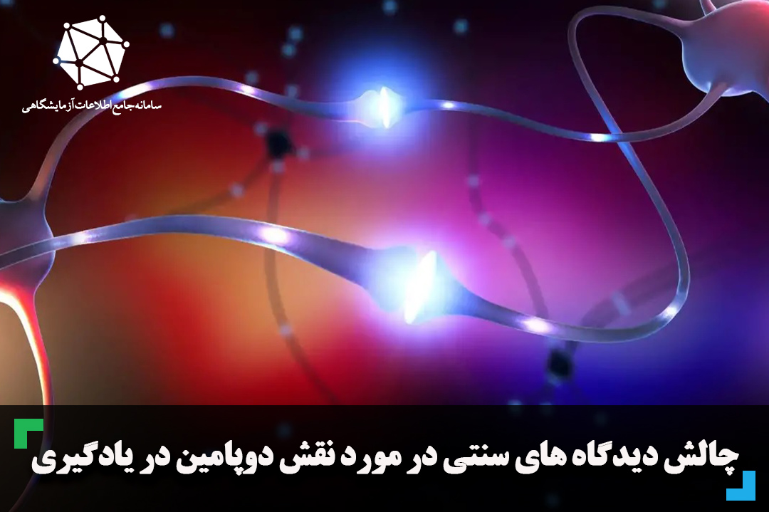 چالش دیدگاه های سنتی در مورد نقش دوپامین در یادگیری