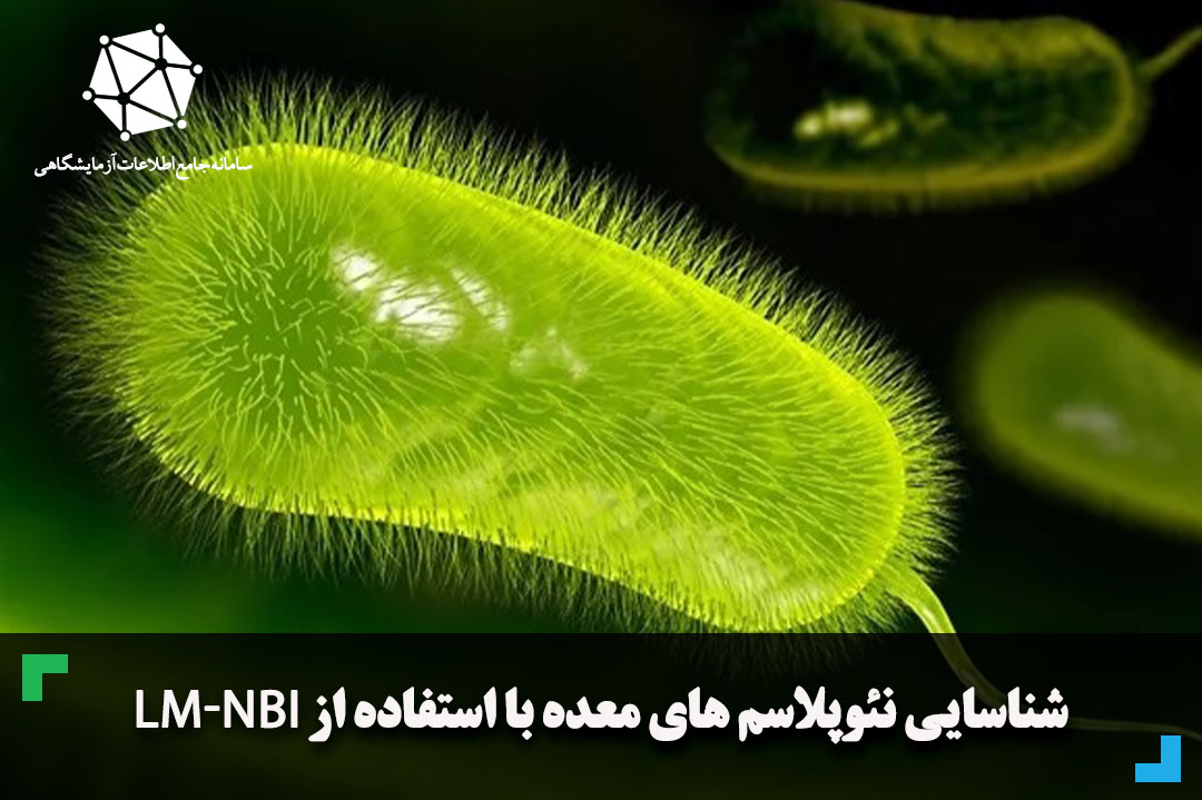 شناسایی نئوپلاسم های معده با استفاده از LM-NBI