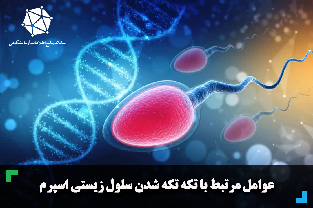 عوامل مرتبط با تکه تکه شدن DNA اسپرم