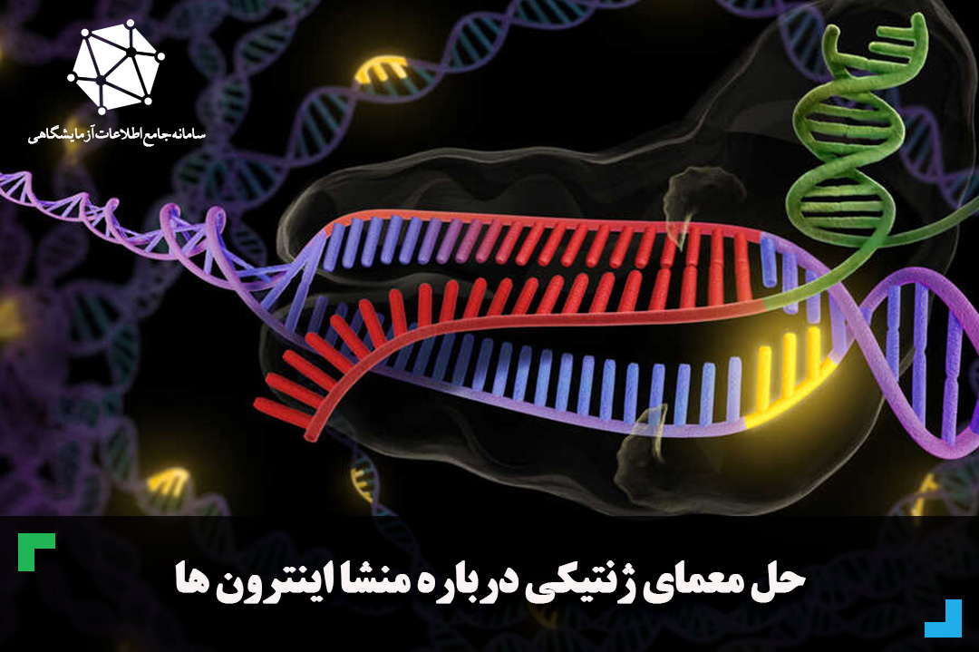 حل معمای ژنتیکی درباره منشا اینترون ها