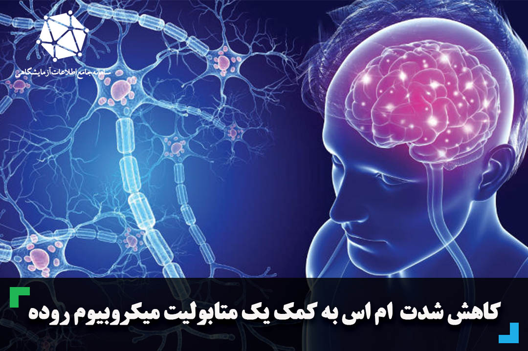 کاهش شدت ام اس به کمک یک متابولیت میکروبیوم روده