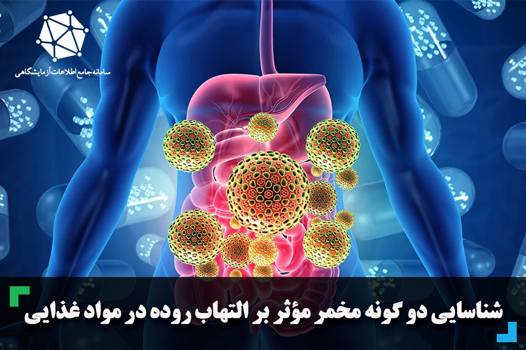 شناسایی دو گونه مخمر مؤثر بر التهاب روده در موادغذایی